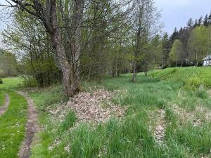 Prodej komerčního pozemku, Horní Vltavice, 14058 m2