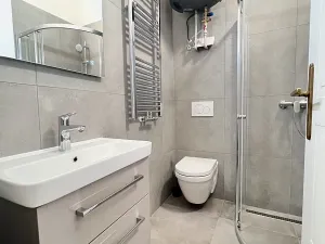 Pronájem bytu 2+kk, Praha - Vinohrady, Mánesova, 70 m2