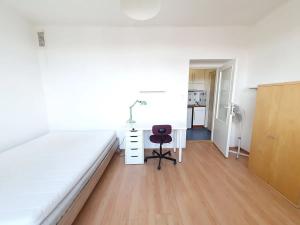 Pronájem bytu 1+kk, Praha - Nusle, 5. května, 29 m2