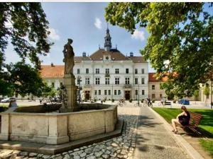 Pronájem bytu 2+1, Valtice, Sobotní, 52 m2