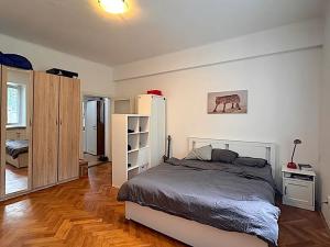 Pronájem bytu 1+1, Brno, Havlišova, 49 m2