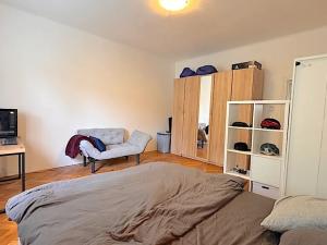 Pronájem bytu 1+1, Brno, Havlišova, 49 m2