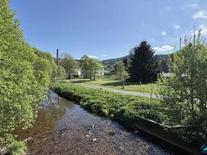Prodej pozemku pro bydlení, Těchonín, 1527 m2