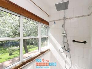 Prodej chaty, Stříbrná Skalice, 75 m2