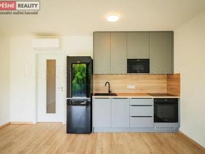 Prodej bytu 1+kk, Praha - Radlice, Lučištníků, 33 m2