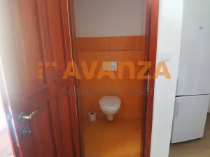 Pronájem bytu 1+kk, Děčín, Kamenická, 75 m2