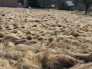 Prodej pozemku pro bydlení, Hamr na Jezeře, 1015 m2