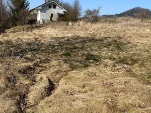 Prodej pozemku pro bydlení, Hamr na Jezeře, 1015 m2