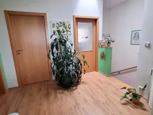 Prodej rodinného domu, Jihlava, Stará cesta, 125 m2