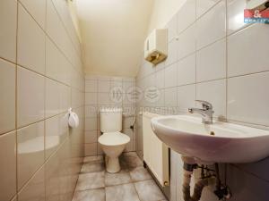 Prodej rodinného domu, Hora Svatého Šebestiána, 560 m2
