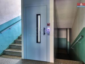 Prodej bytu 1+kk, Nové Sedlo, Sadová, 20 m2