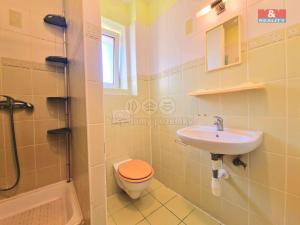 Pronájem bytu 1+kk, Praha - Kyje, Hejtmanská, 20 m2