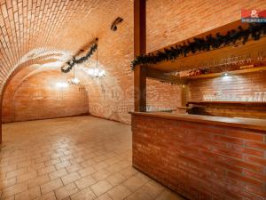 Prodej restaurace, Ústí nad Orlicí, 300 m2