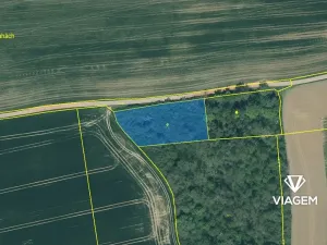 Prodej lesa, Lisov, 2042 m2