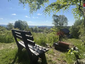 Prodej chalupy, Velké Hamry, 250 m2