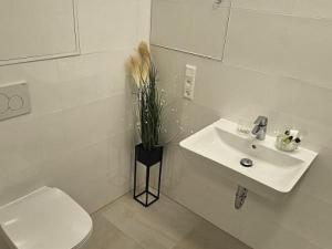 Pronájem bytu 2+kk, Brno - Veveří, Lidická, 5470 m2