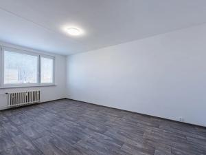 Pronájem bytu 2+1, Litvínov, Mostecká, 63 m2