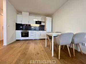 Pronájem bytu 2+kk, Brno, Vídeňská, 54 m2