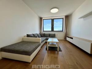 Pronájem bytu 2+kk, Brno, Vídeňská, 54 m2