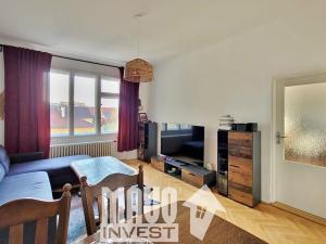 Pronájem bytu 2+kk, Praha - Karlín, Peckova, 56 m2