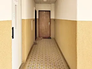 Pronájem bytu 2+kk, Praha - Karlín, Peckova, 56 m2