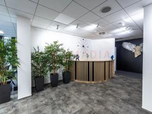 Pronájem kanceláře, Praha - Karlín, Sokolovská, 250 m2