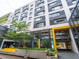 Pronájem kanceláře, Praha - Karlín, Sokolovská, 250 m2