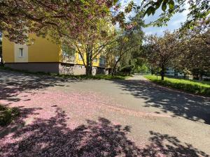 Pronájem bytu 2+1, Chomutov, Kamenná, 61 m2