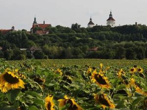 Prodej rodinného domu, Smečno, Hrdlívská, 82 m2