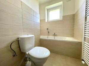 Pronájem bytu 1+1, Lovosice, Labská, 35 m2