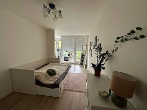 Pronájem bytu 2+kk, Praha - Žižkov, Olgy Havlové, 54 m2