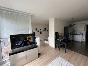 Pronájem bytu 2+kk, Praha - Žižkov, Olgy Havlové, 54 m2