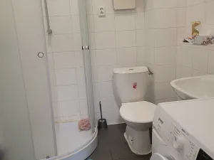 Pronájem pokoje, Brno, Vídeňská, 12 m2