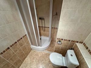 Prodej bytu 1+1, Děčín, Dvořákova, 40 m2
