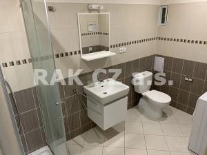 Pronájem bytu 2+kk, Praha - Staré Město, Benediktská, 76 m2