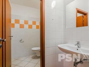 Pronájem kanceláře, Praha - Hloubětín, Nademlejnská, 22 m2