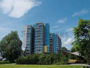 Pronájem bytu 2+kk, Brno, Dornych, 50 m2