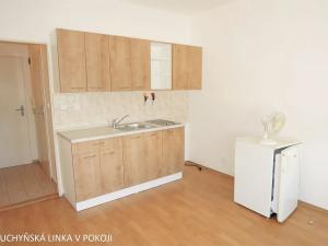 Pronájem bytu 1+kk, Brno, Mendlovo náměstí, 17 m2