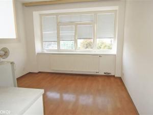 Pronájem bytu 1+kk, Brno, Mendlovo náměstí, 17 m2