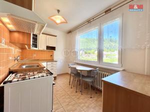 Pronájem bytu 3+1, Děčín - Děčín I-Děčín, Labská, 65 m2
