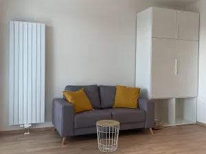 Pronájem bytu 1+kk, Praha - Žižkov, Olgy Havlové, 38 m2