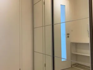 Pronájem bytu 1+kk, Praha - Žižkov, Olgy Havlové, 38 m2