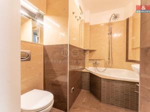 Pronájem bytu 1+kk, Praha - Žižkov, Čajkovského, 27 m2
