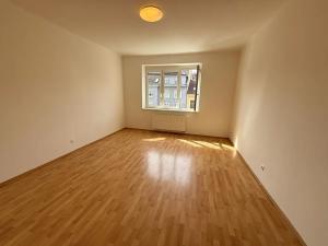 Pronájem bytu 2+kk, Praha - Břevnov, Bělohorská, 60 m2