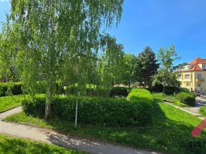 Pronájem bytu 2+kk, Praha - Smíchov, K Závěrce, 66 m2