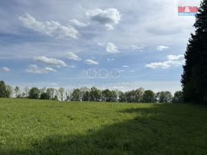 Prodej pole, Jestřabí v Krkonoších, 6070 m2