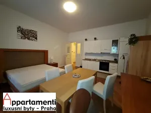 Prodej atypického bytu, Praha - Staré Město, Masná, 176 m2