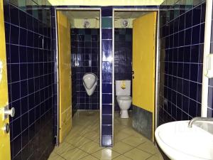 Pronájem obchodního prostoru, Písek, Čechova, 172 m2