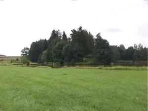 Dražba pozemku, Kocelovice, 5241 m2