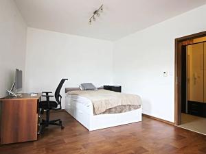 Pronájem bytu 1+kk, Brno, Purkyňova, 45 m2
